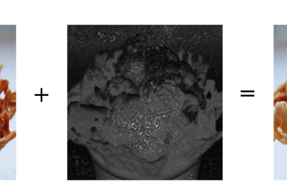 An adversarial example in the image recognition domain.