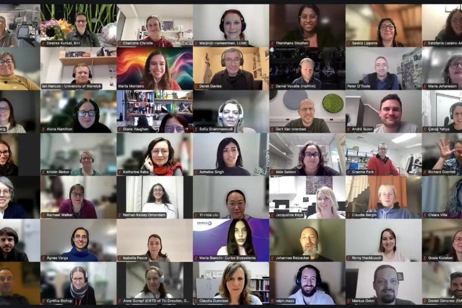 Virtual European Flow Core Meeting