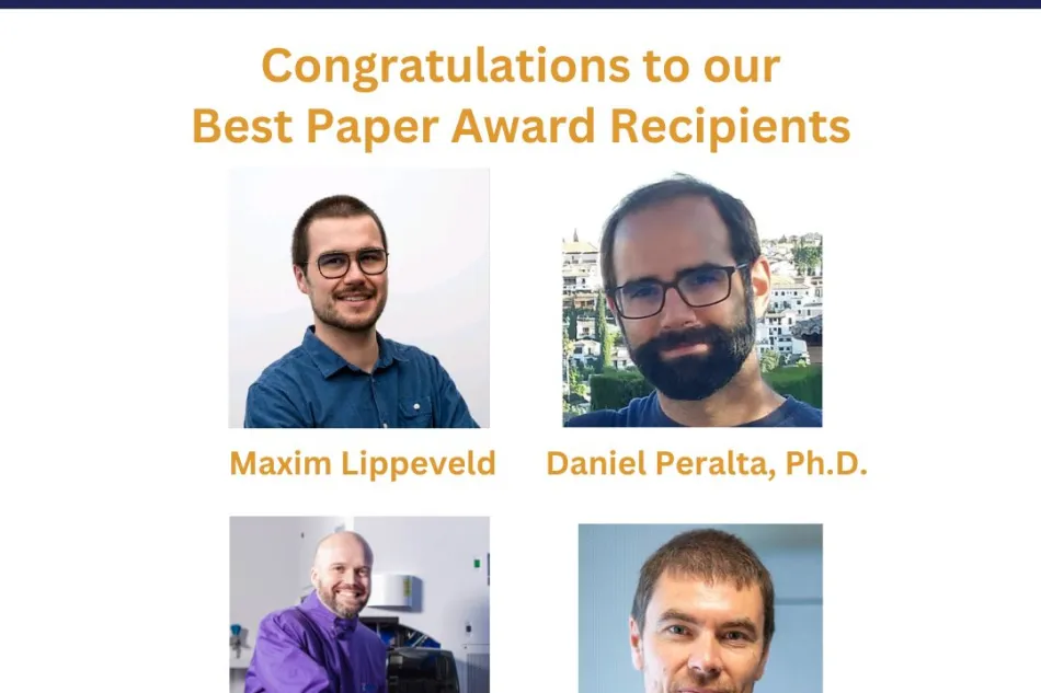 SCIP receives best paper award