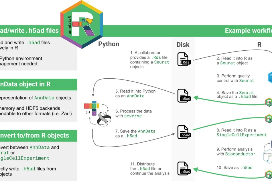 anndataR preprint