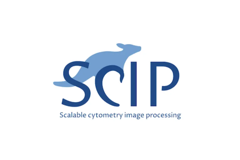 Scip logo