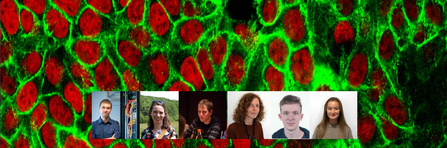 Spatial Omics Team